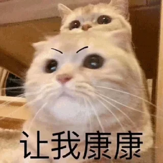 Sticker from 喵咪咪