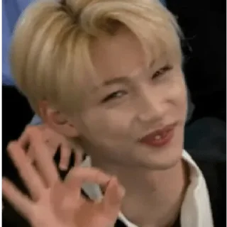 Sticker from Stray Kids