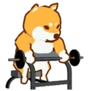 😊 emoji 運動柴犬 Telegram sticker 12 of 50