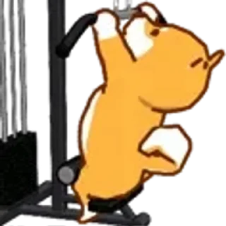 😊 emoji 運動柴犬 Telegram sticker 16 of 50
