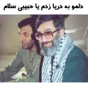 Sticker from سید علی جون 😹😻