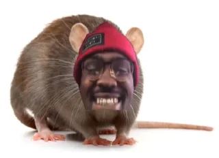 🐀 emoji Millionaire Fr Fr Telegram sticker 14 of 40