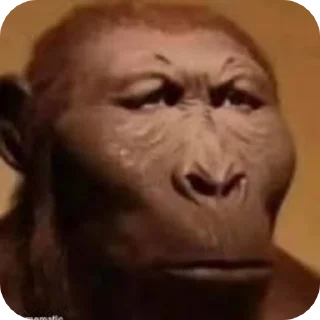Sticker from ඞrm -rf YONG's video sticker kang pack