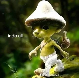 Sticker from indo ali