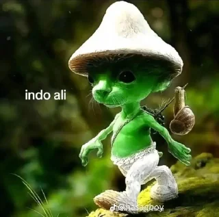 Sticker from indo ali