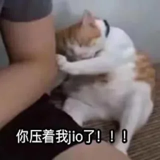 ✨ emoji 啊？ 静态贴纸包(1) Telegram sticker 17 of 75