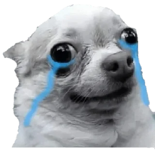 😢 emoji My pack — @stckrRobot Telegram sticker 6 of 120