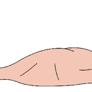 😊 emoji 打工人小豆泥 (暹羅貓小豆泥) @kal_pc Telegram sticker 4 of 16