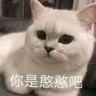 🤠 emoji 长沙打工人 @olddriver_cs Telegram sticker 23 of 112