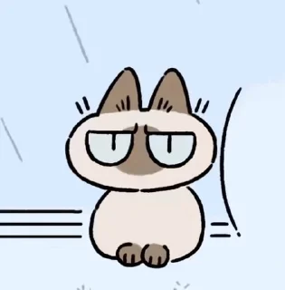 Sticker from 暹羅貓小豆泥 (2) @kal_pc