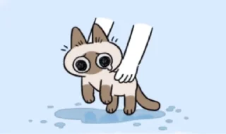 😊 emoji 暹羅貓小豆泥 (2) @kal_pc Telegram sticker 13 of 50
