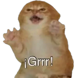 Sticker from admins stickers