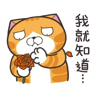 😊 emoji 白爛貓52☆好心動☆ Telegram sticker 6 of 24