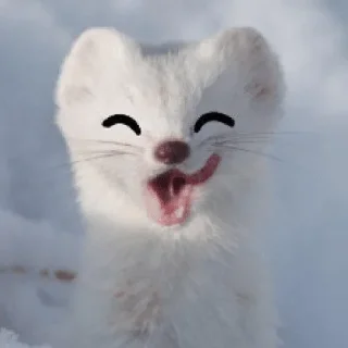 😝 emoji FluffoPack4 — @stckrRobot Telegram sticker 13 of 113