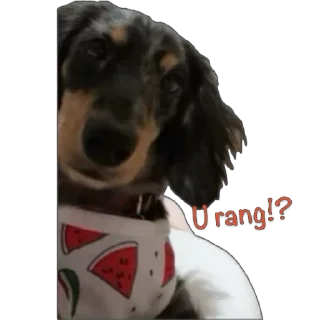 Sticker from Fluffy