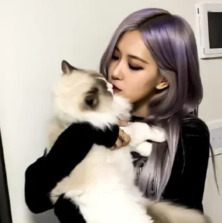 ⬛ emoji 𝘀𝗲𝗮𝗿𝗰𝗵 𝗳𝗼𝗿 : 𝗥𝗢𝗦𝗘 ─ @stkworld Telegram sticker 15 of 50
