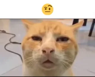 🤔 emoji @tilti_lesm's kang pack Vol.1 (Video) Telegram sticker 1 of 17