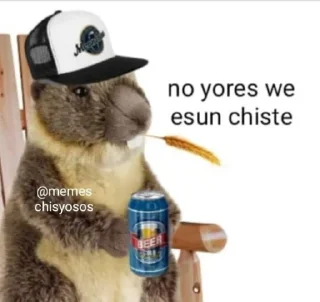 Sticker from Memes Chisyosos chat