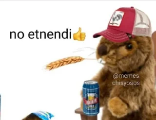 Sticker from Memes Chisyosos chat