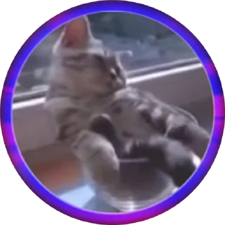 Sticker from Kʆɛɓɛʀ