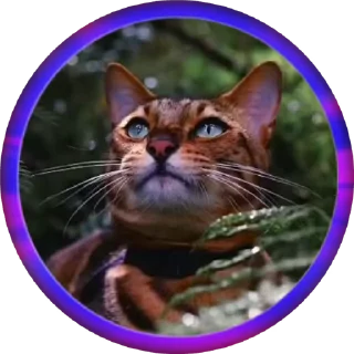 Sticker from Kʆɛɓɛʀ
