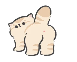 Sticker from meow @nkplz