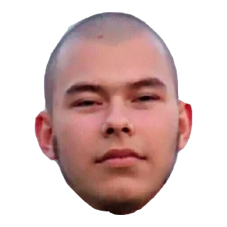 Sticker from Правый Движ