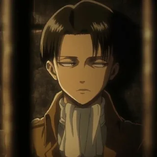 Sticker from Levi Ackerman