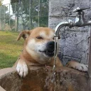 Sticker from Felipe Massa
