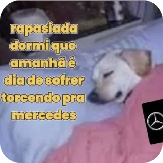 🐶 emoji Jorjao da massa @RusselGeorg Telegram sticker 13 of 120