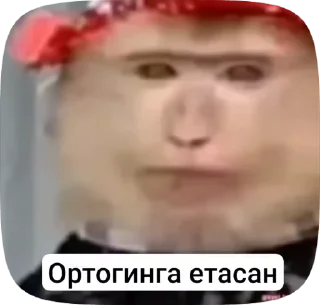 🌟 emoji @boboyev_diyor Telegram sticker 7 of 82