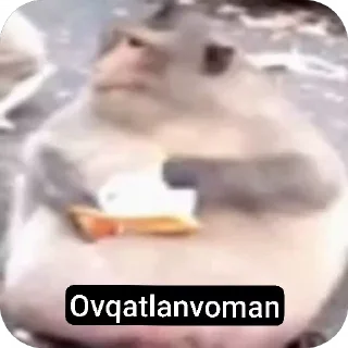 🍗 emoji @boboyev_diyor Telegram sticker 9 of 82