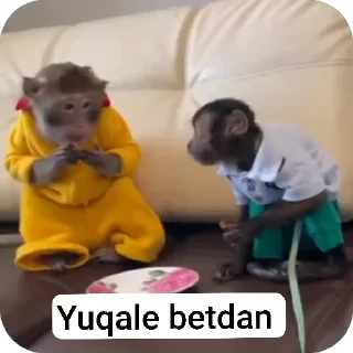 😡 emoji @boboyev_diyor Telegram sticker 20 of 82