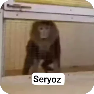 🌟 emoji @boboyev_diyor Telegram sticker 10 of 82