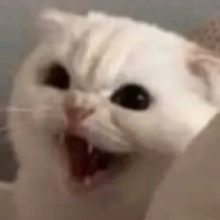 😾 emoji @portagalliordek @TheCyberUserBot Paketi 1 Telegram sticker 20 of 82