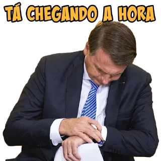 Sticker from Bolsonaro-FDF