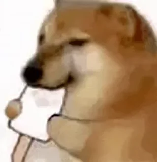 😎 emoji @More_Gifs/ @Hot_More Telegram sticker 15 of 49