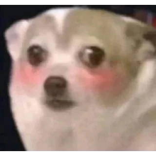 😝 emoji </swx>s kang pack Telegram sticker 22 of 120