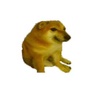 🥺 emoji </swx>s kang pack Telegram sticker 14 of 120