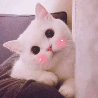 🙂 emoji </swx>s kang pack Telegram sticker 23 of 120