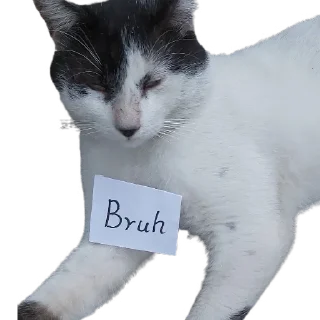 😂 emoji </swx>s kang pack Telegram sticker 17 of 120