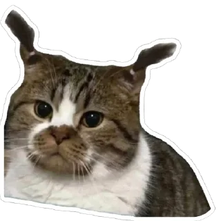 🫥 emoji Piscis c: Telegram sticker 21 of 65