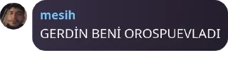 🇿🇦 emoji AMİN pack by @QuotLyBot Telegram sticker 18 of 43