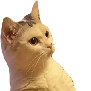 😳 emoji @Thomasshelby1327's kibe pack V1.0 Telegram sticker 15 of 31