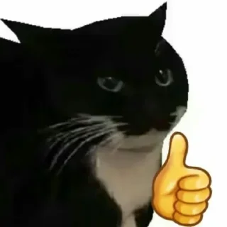 👍 emoji Quem respirar é comunista — @stckrRobot Telegram sticker 21 of 120