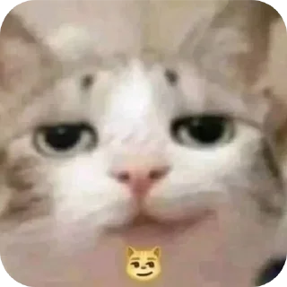 🤲 emoji @GabrielARK's WhiterRobot v1 Telegram sticker 19 of 120