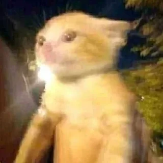 😐 emoji @JuaneloPubgWapo's Pack 1 Telegram sticker 16 of 120