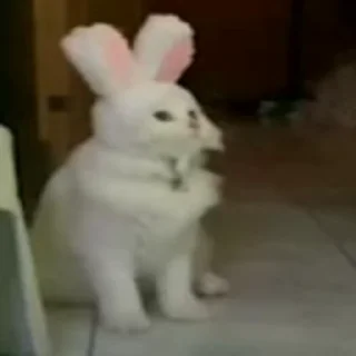 🤔 emoji @petitpony's Smudge VidPack Telegram sticker 16 of 50