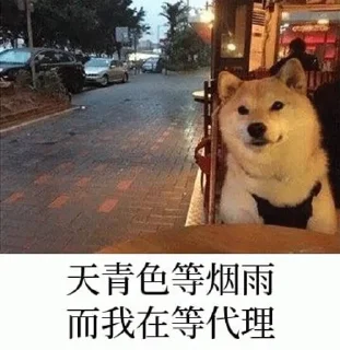 🌟 emoji 开云九台招代理-江明 @jiangming Telegram sticker 5 of 59