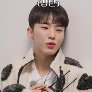 Sticker from @STIKERSVT : Hoshi The Truman Show of Mr. SVT's #2